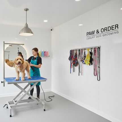 Dog grooming salon with a dog on a grooming table and 'Paw & Order' branding.