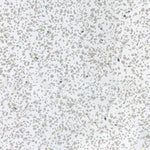 White Sparkle Tradeline - 5mm